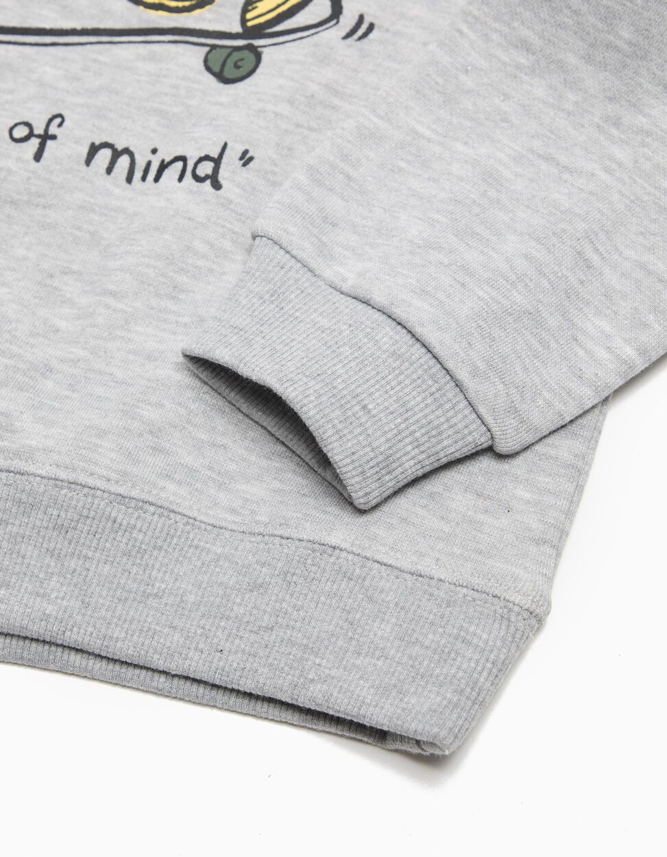 Printed Fleece Sweatshirt, Baby Boy, Light Grey