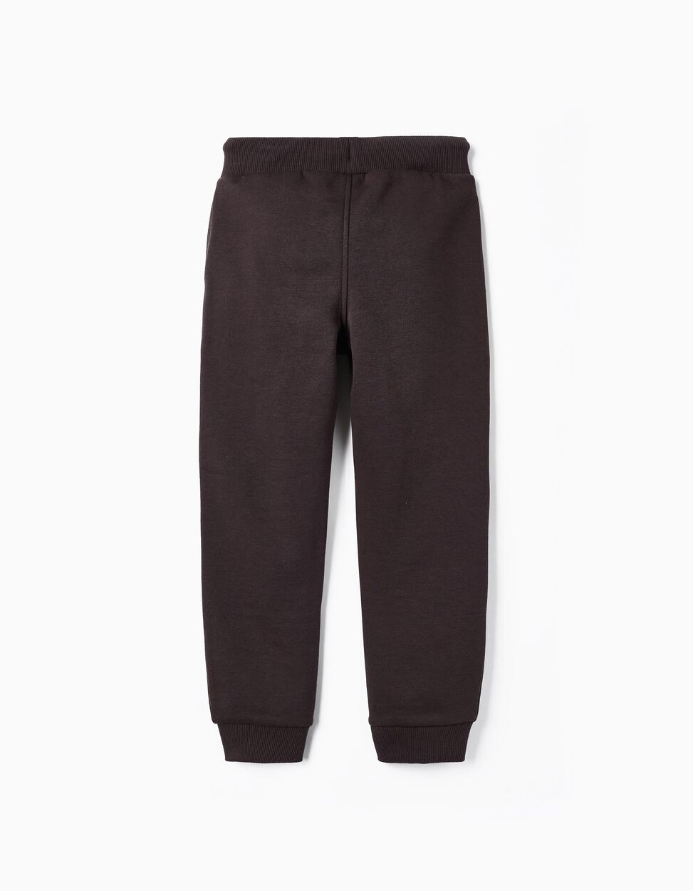 Genius Discovery' Boy's Tracksuit Pants, Brownish Gray