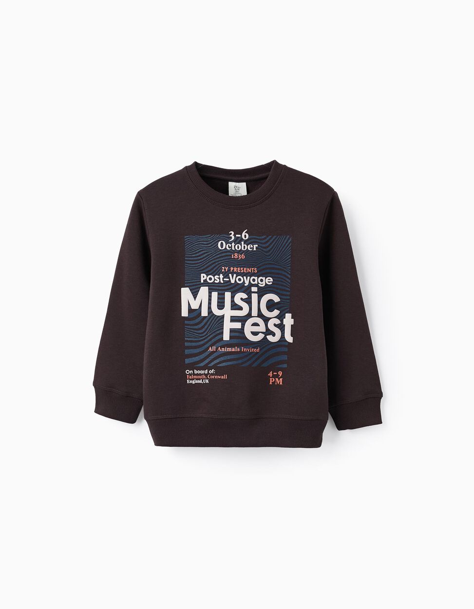 Music Fest' Boy's Sweatshirt, Brownish