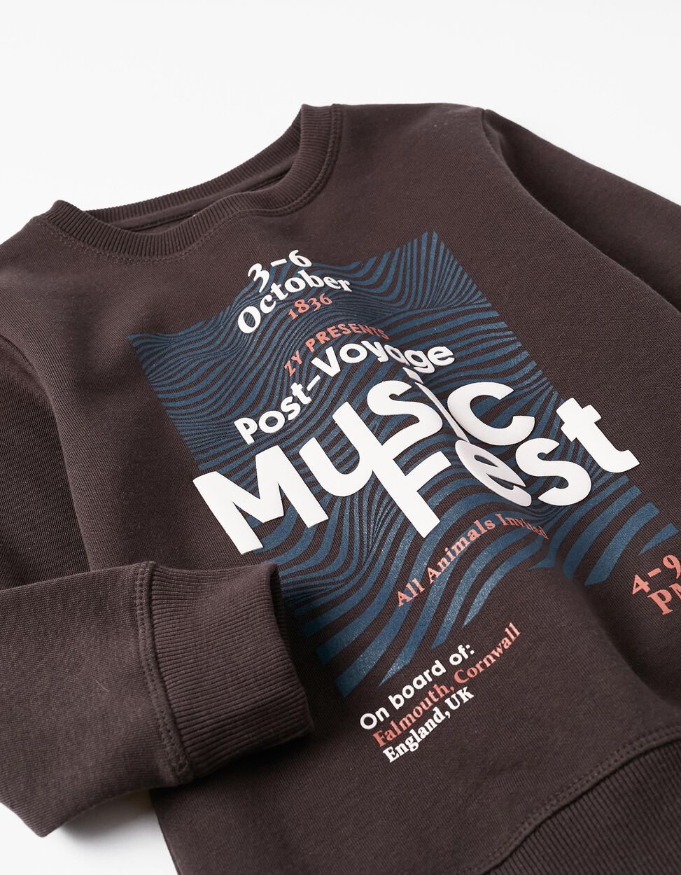 Music Fest' Boy's Sweatshirt, Brownish