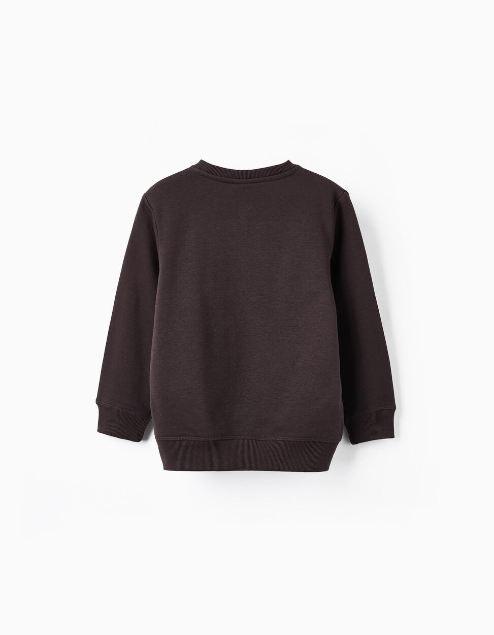 Music Fest' Boy's Sweatshirt, Brownish